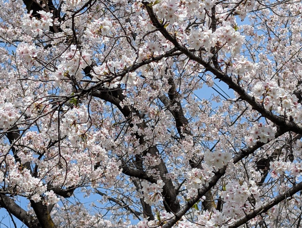 画像に alt 属性が指定されていません。ファイル名: 4a8c5aa4d90df399788658524ce5f327-1024x771.jpg